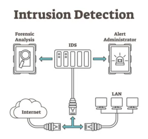 Intrusion Detection Systems (IDS)